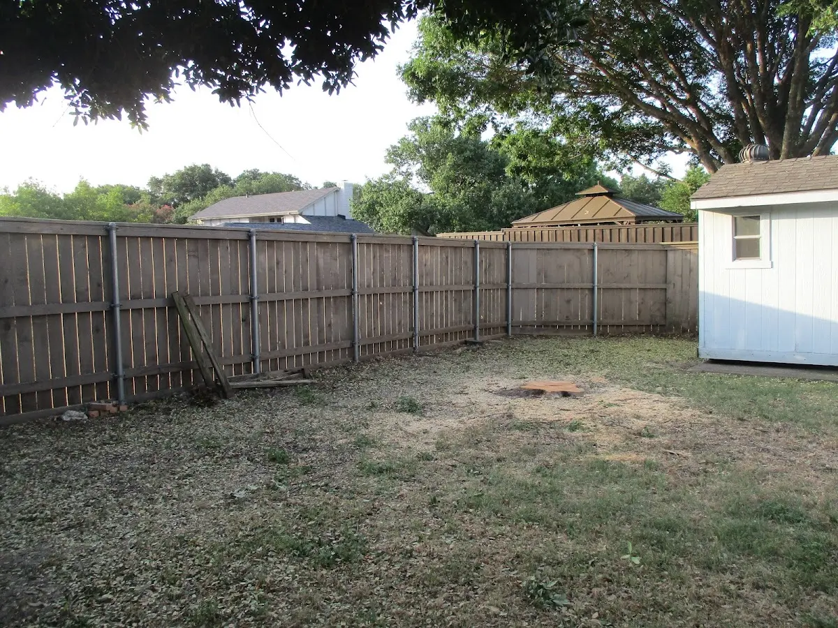 Cleared yard after professional tree removal in Hope