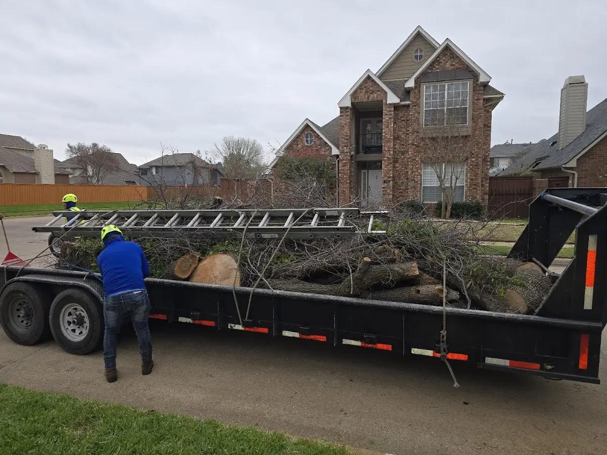 Expert Lot Clearing with proper safety equipment in Hope